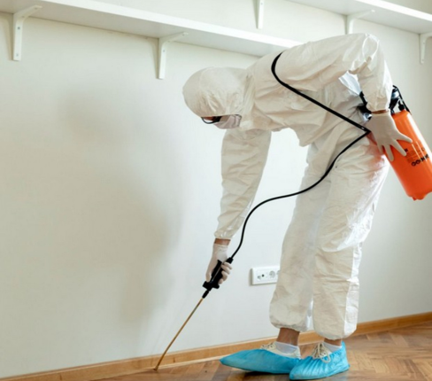 design sans titre 54.png