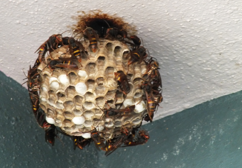 design sans titre 59.png